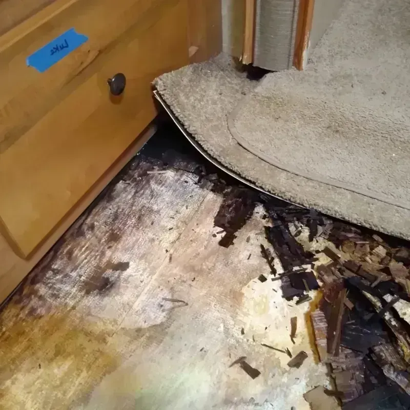 Wood Floor Water Damage in Chester, MD